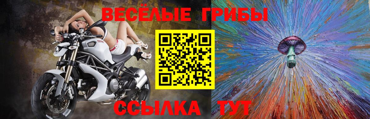 Псилоцибиновые грибы ЛСД Чусовой