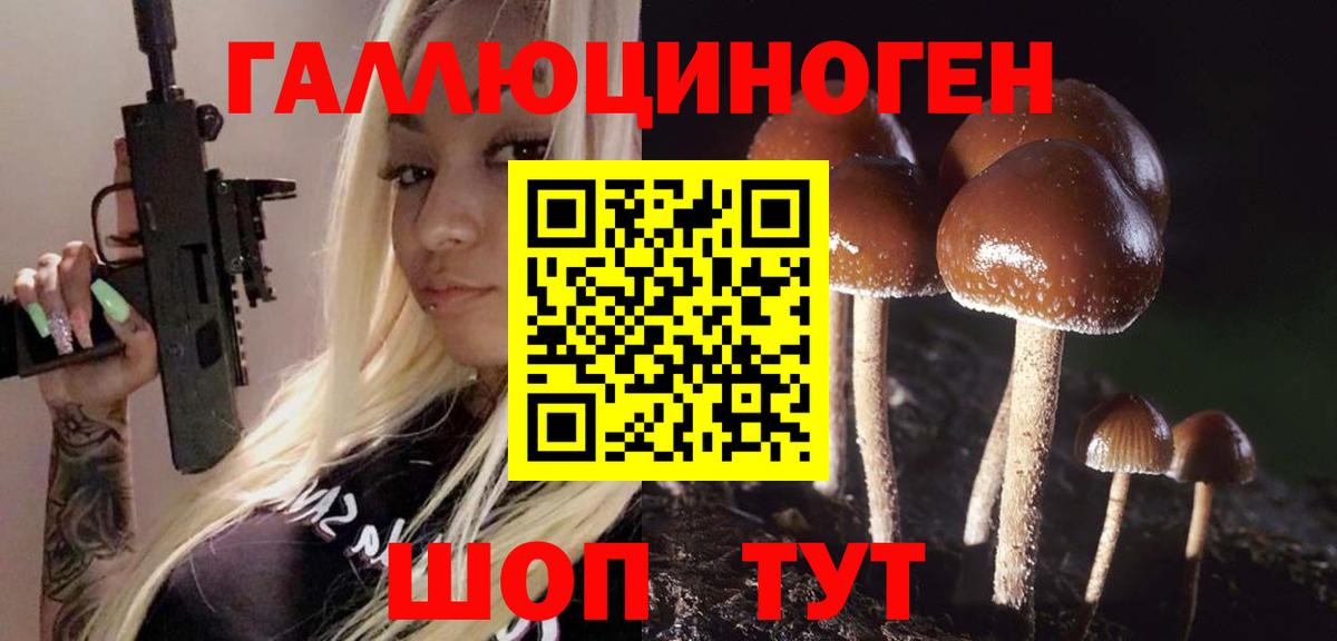 Чусовой  Галлюциногенные грибы мухоморы  где продают наркотики  Псилоцибиновые грибы Cubensis  Вход с VPN 